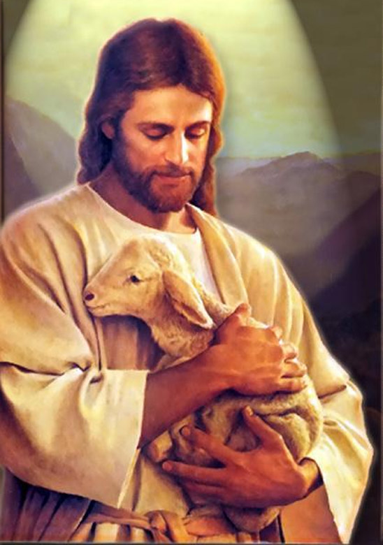 lamb of god jesus christ